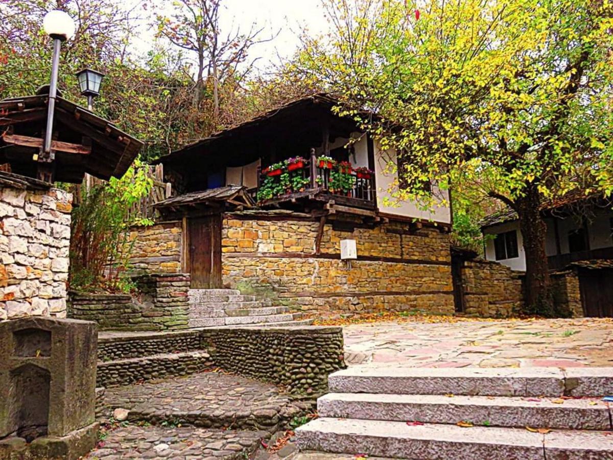 The Tinkov House In Loveč Exteriér fotografie